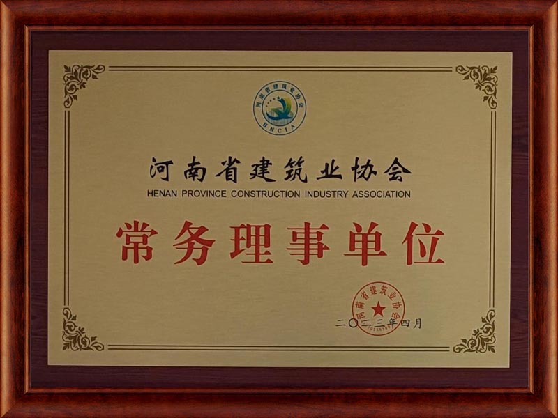 河南省建筑業協會常務理事單位